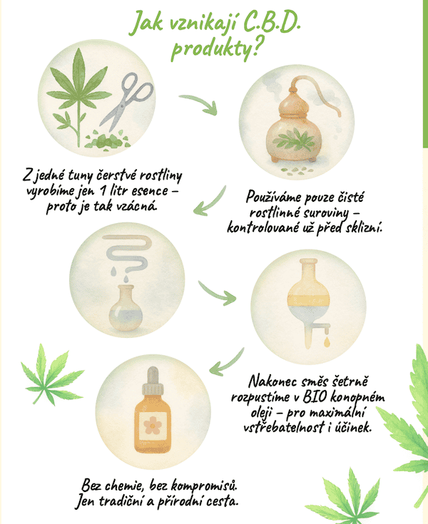 Ako vznikajú C.B.D. produkty?